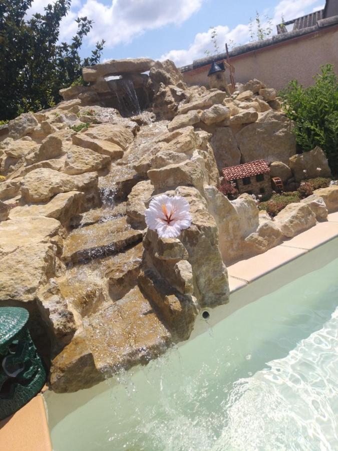 Gite T2 Avec Grande Piscine Apartment Villeneuve-la-Comptal Bagian luar foto
